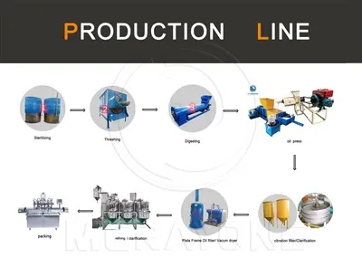 Palm Fruit Production Line